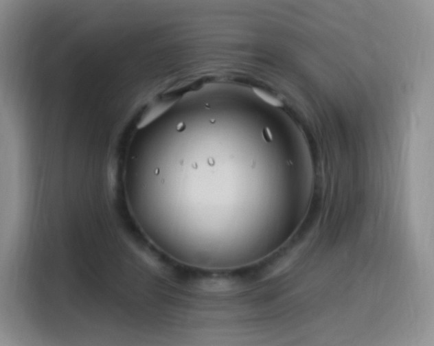 X0000115810404200911201423