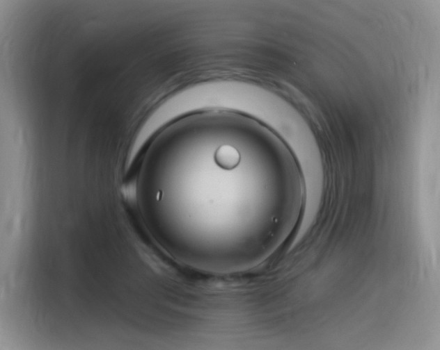 X0000115810405200911201423