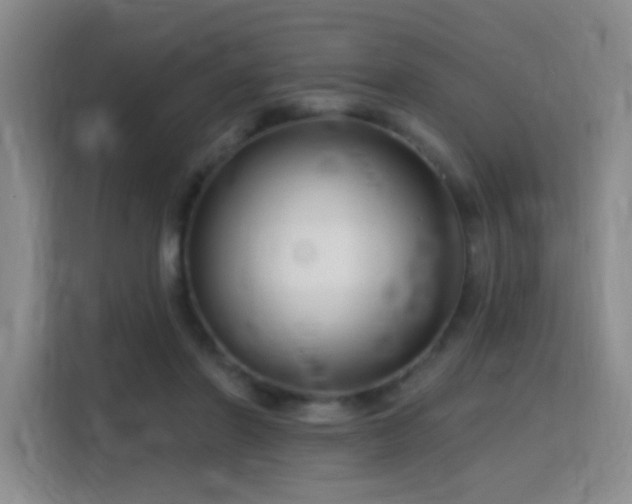 X0000115810406200911201423