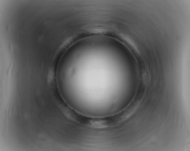 X0000115810407200911201423