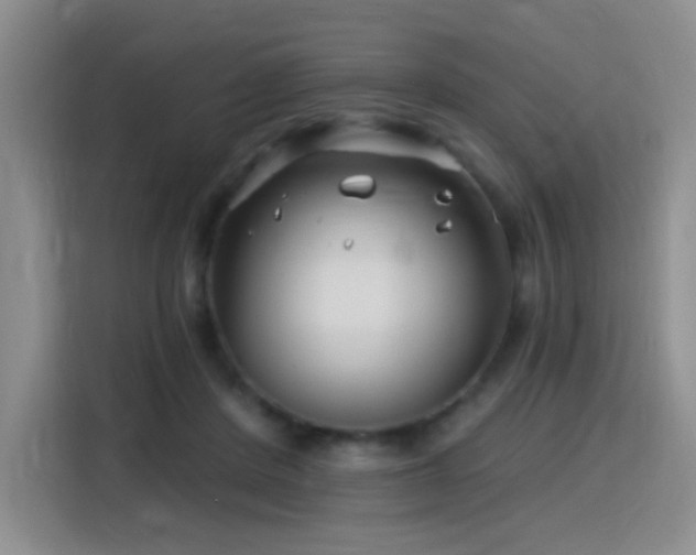 X0000115810408200911201423