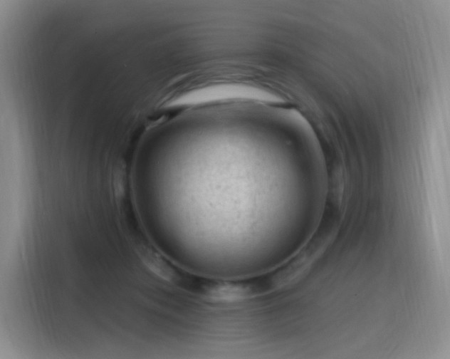 X0000115810413200911201423