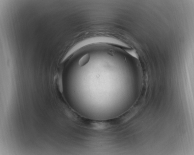 X0000115810417200911201423