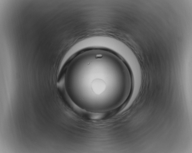 X0000115810419200911201422