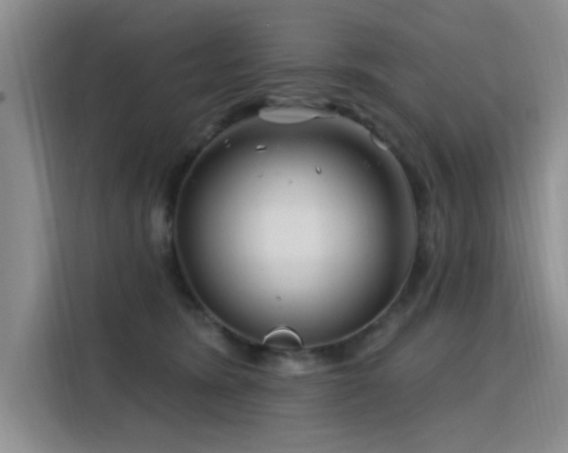 X0000115810420200911201422