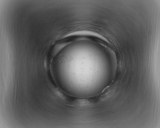 X0000115810424200911201422