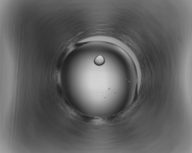 X0000115810425200911201422