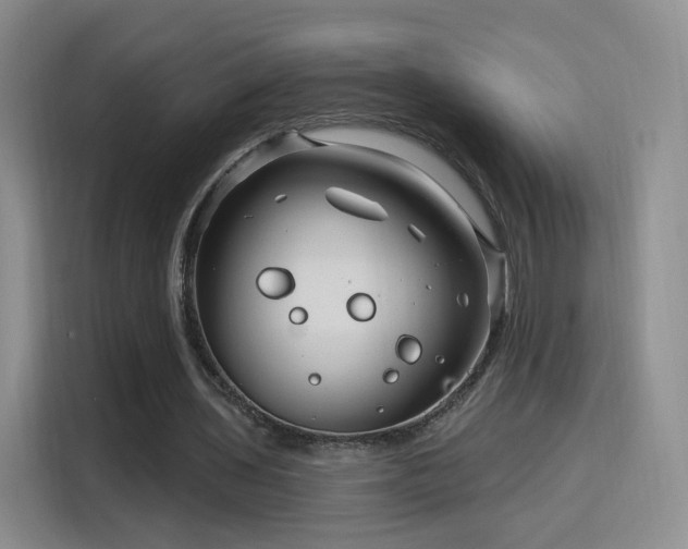 X0000115810435200911201422