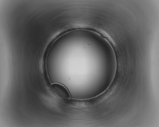 X0000115810439200911201422