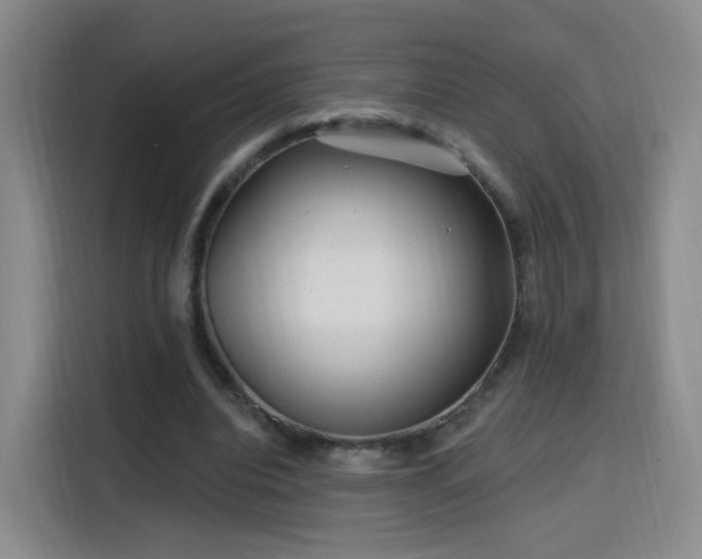 X0000115810440200911201422