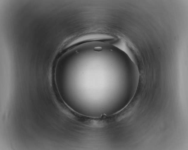X0000115810442200911201422