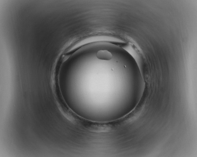 X0000115810443200911201422