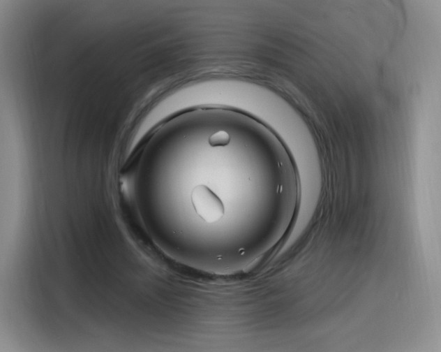 X0000115810444200911201422
