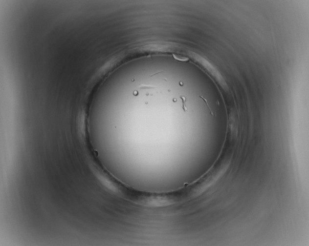 X0000115810445200911201422