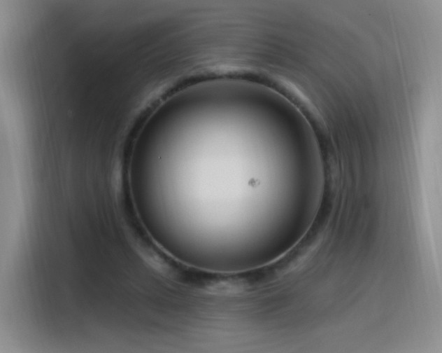 X0000115810447200911201422