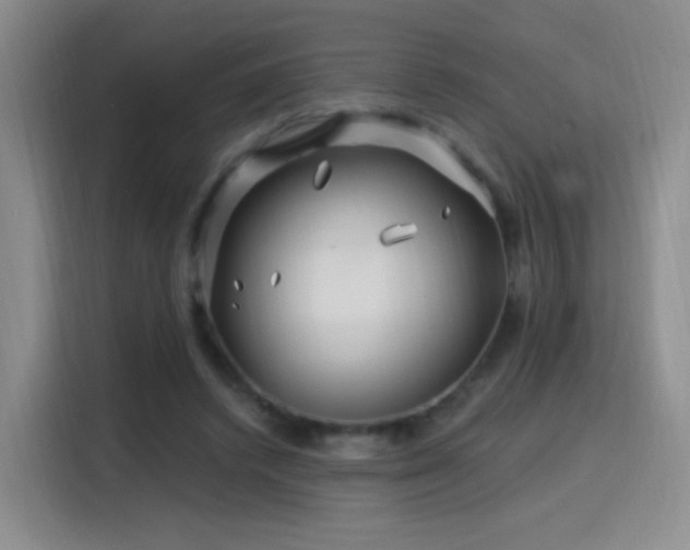 X0000115810448200911201422