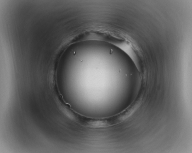 X0000115810449200911201422