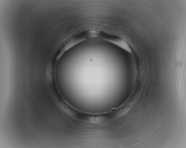 X0000115810450200911201422
