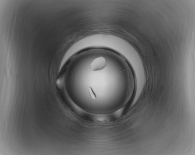 X0000115810452200911201422
