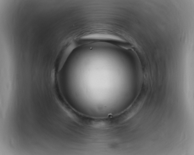 X0000115810454200911201422