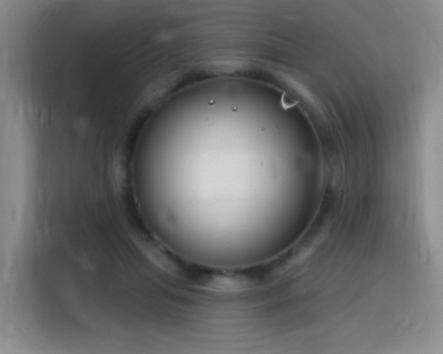 X0000115810455200911201422