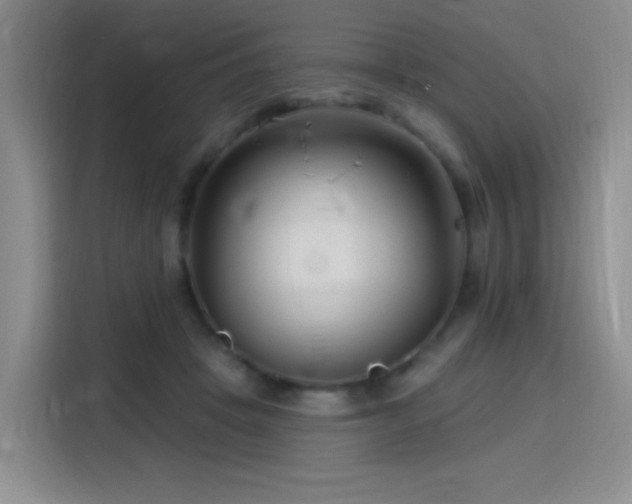 X0000115810457200911201422