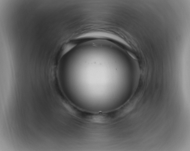 X0000115810462200911201422