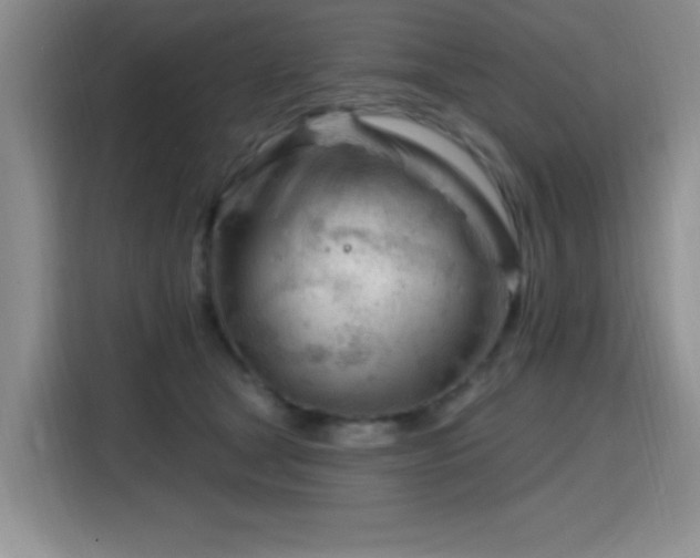 X0000115810465200911201422