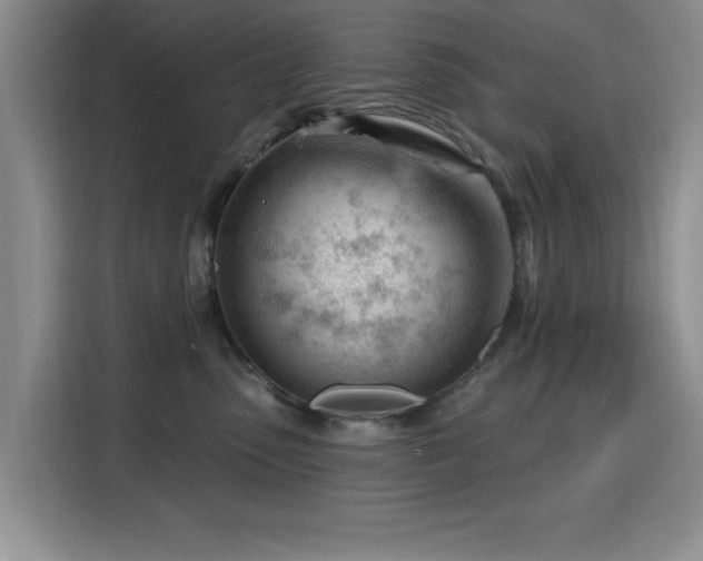 X0000115810475200911201422