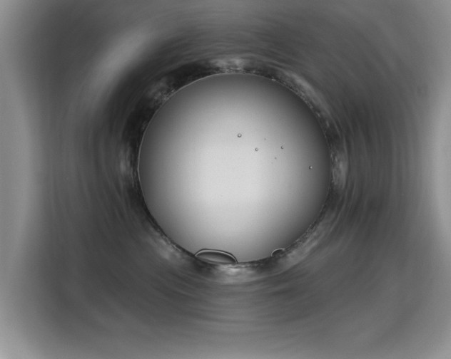 X0000115810477200911201422