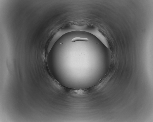 X0000115810478200911201422