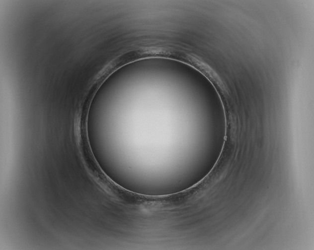 X0000115810482200911201422