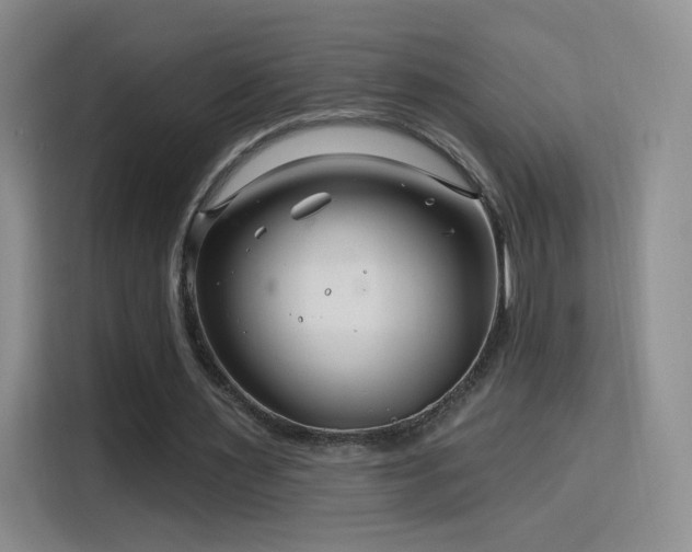 X0000115810483200911201422
