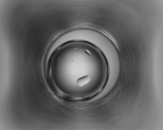 X0000115810485200911201422