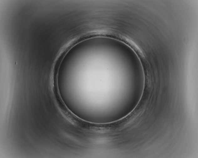 X0000115810486200911201422