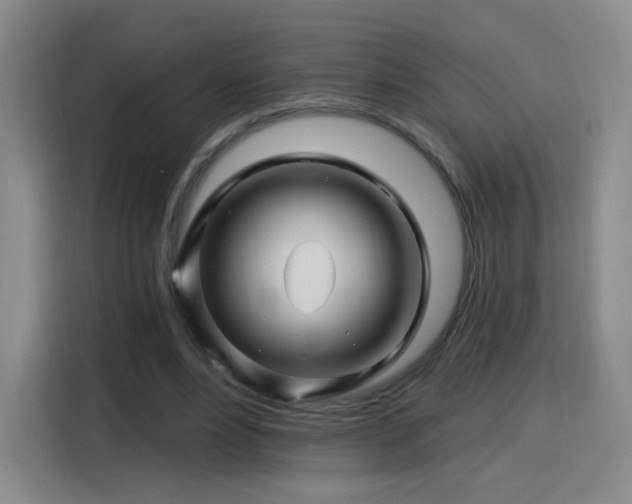 X0000115810488200911201422