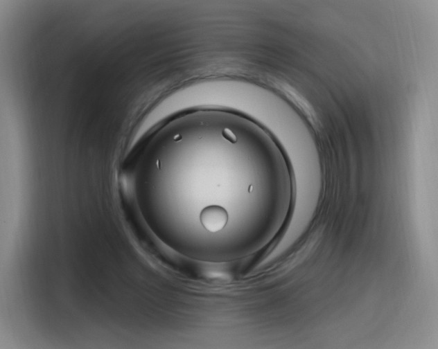 X0000115810493200911201422