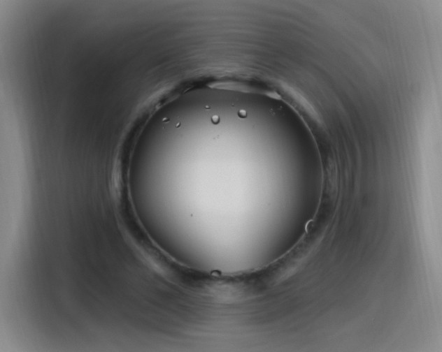 X0000115810494200911201422