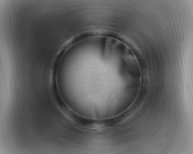 X0000115810496200911201421