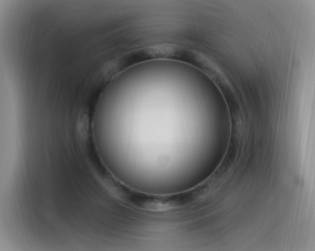 X0000115810498200911201421