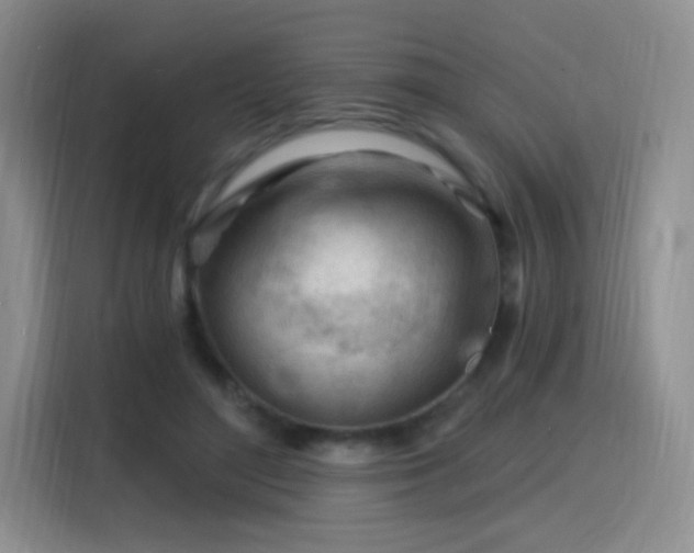X0000115810500200911201421