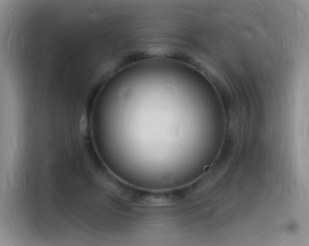 X0000115810502200911201421