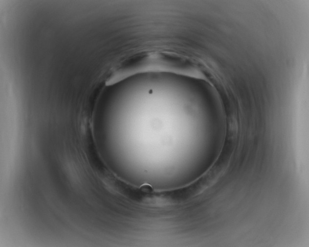 X0000115810503200911201421