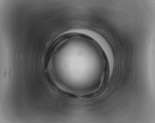 X0000115810504200911201421