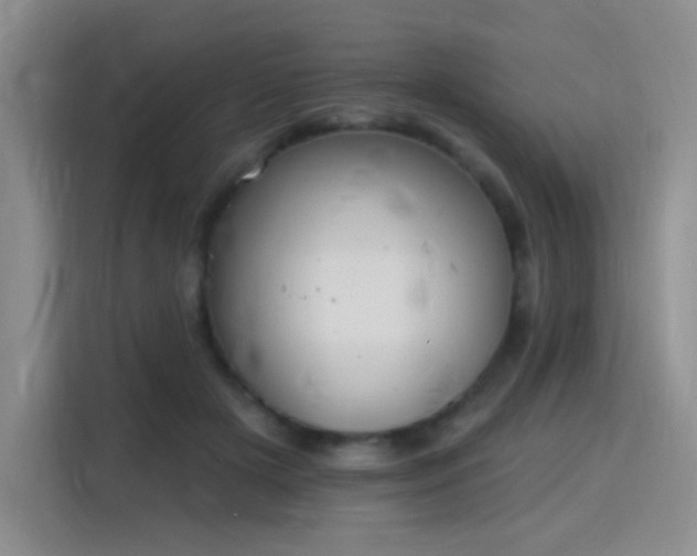 X0000115810505200911201421