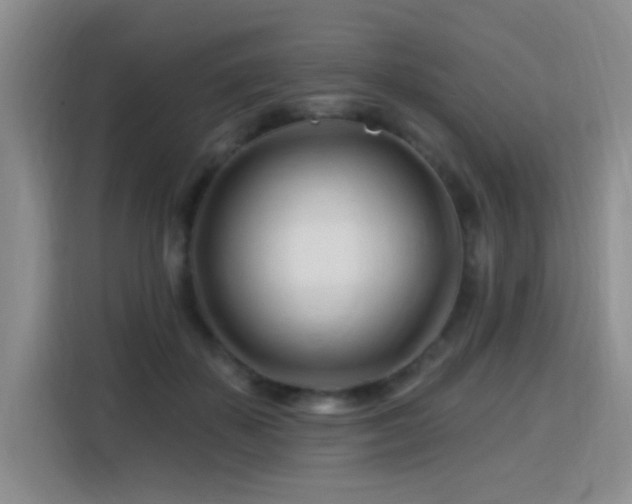 X0000115810507200911201421