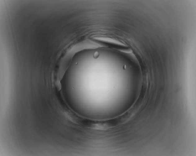 X0000115810508200911201421