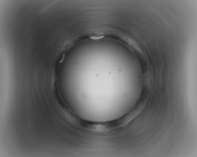 X0000115810509200911201421
