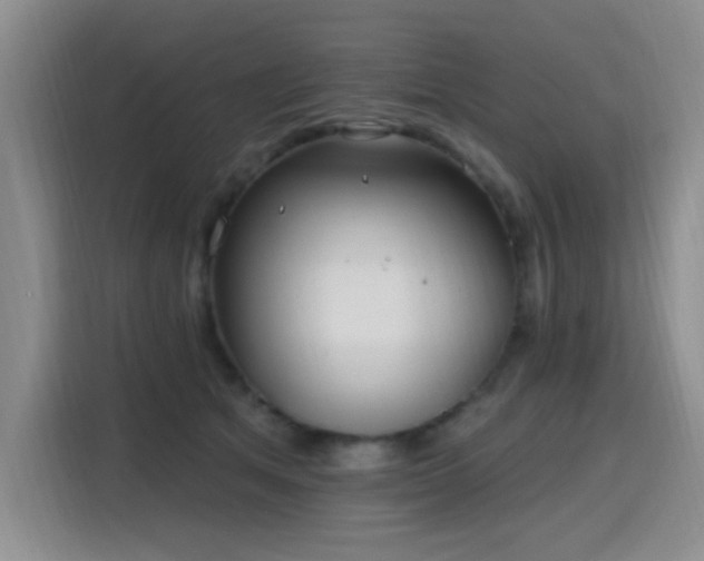 X0000115810513200911201421