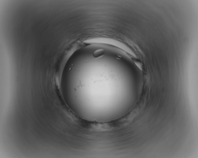 X0000115810517200911201421